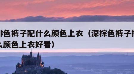 咖啡色裤子配什么颜色上衣（深棕色裤子搭配什么颜色上衣好看）