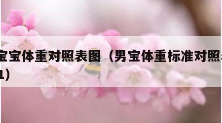 男宝宝体重对照表图（男宝体重标准对照表2021）