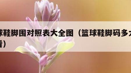 篮球鞋脚围对照表大全图（篮球鞋脚码多大才好看）