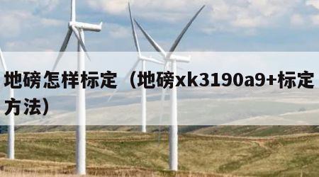 地磅怎样标定（地磅xk3190a9+标定方法）