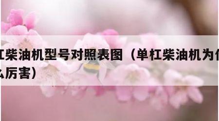 单杠柴油机型号对照表图（单杠柴油机为什么那么厉害）