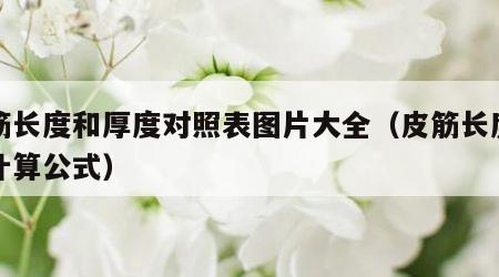 皮筋长度和厚度对照表图片大全（皮筋长度如何计算公式）