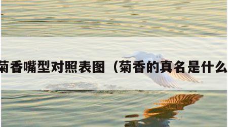 菊香嘴型对照表图（菊香的真名是什么）