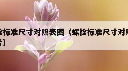 螺栓标准尺寸对照表图（螺栓标准尺寸对照表图片）