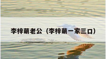 李梓萌老公（李梓萌一家三口）