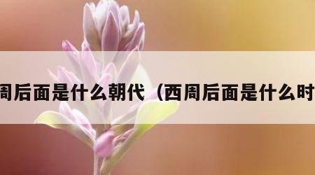 西周后面是什么朝代（西周后面是什么时代）
