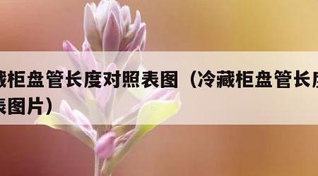 冷藏柜盘管长度对照表图（冷藏柜盘管长度对照表图片）