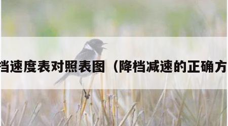 降挡速度表对照表图（降档减速的正确方法）