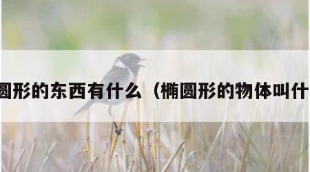 椭圆形的东西有什么（椭圆形的物体叫什么）