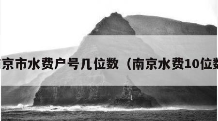 南京市水费户号几位数（南京水费10位数）
