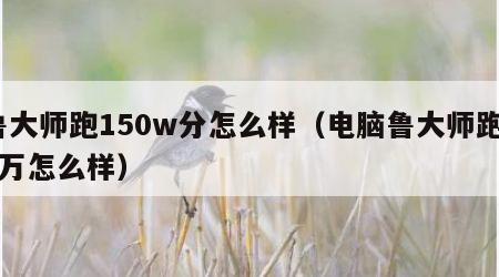 鲁大师跑150w分怎么样（电脑鲁大师跑15万怎么样）