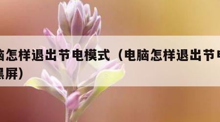电脑怎样退出节电模式（电脑怎样退出节电模式黑屏）
