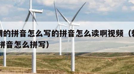 刺猬的拼音怎么写的拼音怎么读啊视频（刺猬 的拼音怎么拼写）