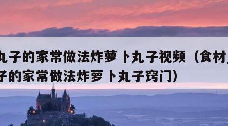 炸丸子的家常做法炸萝卜丸子视频（食材_炸丸子的家常做法炸萝卜丸子窍门）