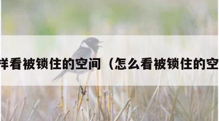 怎样看被锁住的空间（怎么看被锁住的空间）