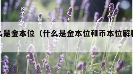 什么是金本位（什么是金本位和币本位解释说明）