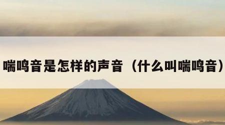 喘鸣音是怎样的声音（什么叫喘鸣音）