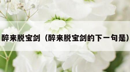 醉来脱宝剑（醉来脱宝剑的下一句是）