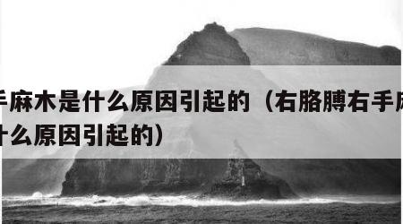右手麻木是什么原因引起的（右胳膊右手麻木是什么原因引起的）