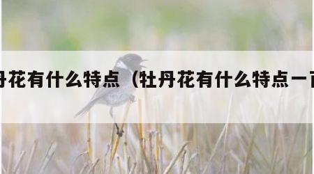 牡丹花有什么特点（牡丹花有什么特点一百字）