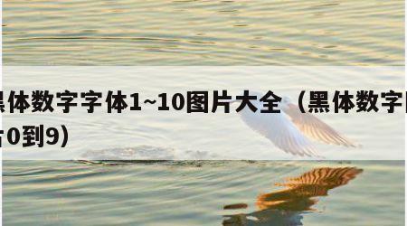 黑体数字字体1~10图片大全（黑体数字图片0到9）