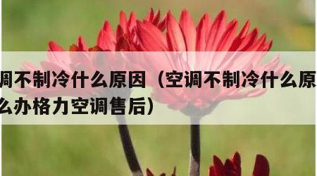 空调不制冷什么原因（空调不制冷什么原因 怎么办格力空调售后）