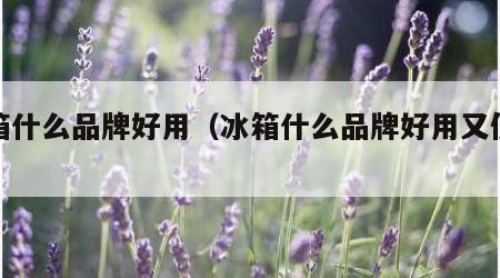 冰箱什么品牌好用（冰箱什么品牌好用又便宜）