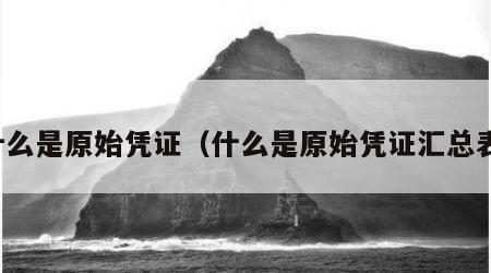 什么是原始凭证（什么是原始凭证汇总表）