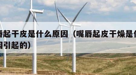 嘴唇起干皮是什么原因（嘴唇起皮干燥是什么原因引起的）