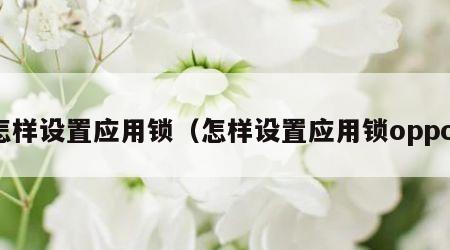 怎样设置应用锁（怎样设置应用锁oppo）
