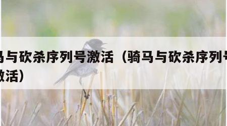 骑马与砍杀序列号激活（骑马与砍杀序列号手动激活）