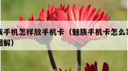 魅族手机怎样放手机卡（魅族手机卡怎么装上去图解）