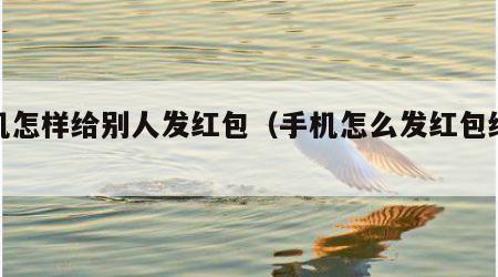 手机怎样给别人发红包（手机怎么发红包给好友）