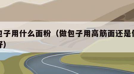 做包子用什么面粉（做包子用高筋面还是低筋面好）