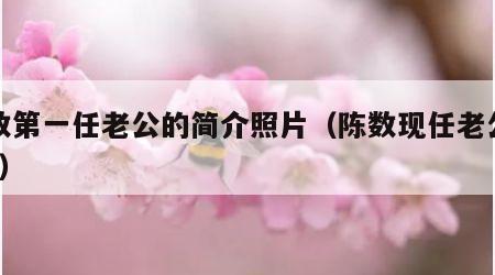 陈数第一任老公的简介照片（陈数现任老公是谁?）