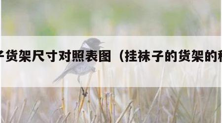 袜子货架尺寸对照表图（挂袜子的货架的种类）