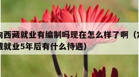 定向西藏就业有编制吗现在怎么样了啊（定向西藏就业5年后有什么待遇）