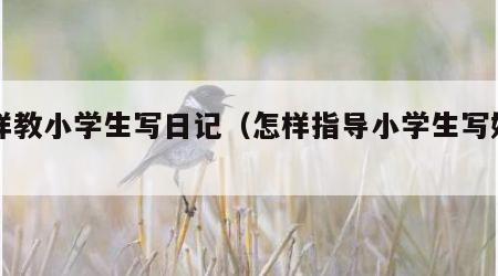 怎样教小学生写日记（怎样指导小学生写好日记）