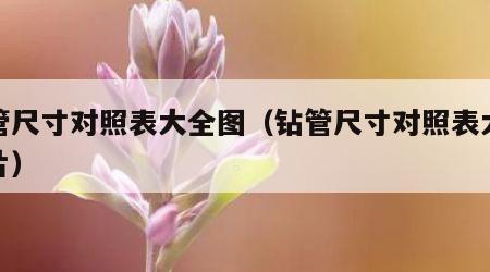 钻管尺寸对照表大全图（钻管尺寸对照表大全图片）