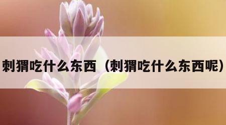 刺猬吃什么东西（刺猬吃什么东西呢）