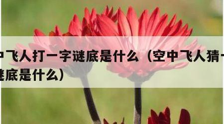 空中飞人打一字谜底是什么（空中飞人猜一个字谜底是什么）