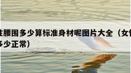 女性腰围多少算标准身材呢图片大全（女性腰围多少正常）