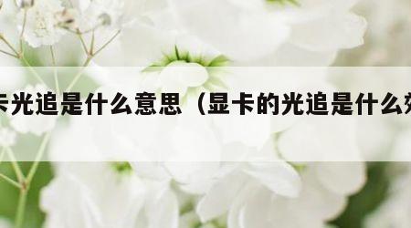 显卡光追是什么意思（显卡的光追是什么效果）