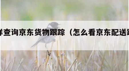 怎样查询京东货物跟踪（怎么看京东配送跟踪）