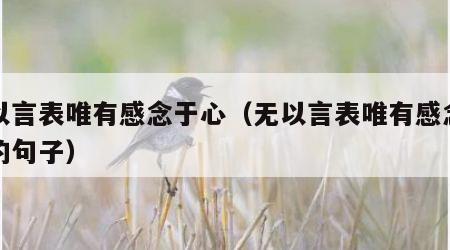 无以言表唯有感念于心（无以言表唯有感念于心的句子）