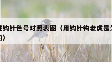 老虎钩针色号对照表图（用钩针钩老虎是怎么勾的）