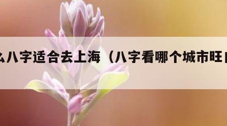什么八字适合去上海（八字看哪个城市旺自己）