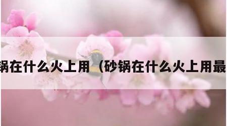 砂锅在什么火上用（砂锅在什么火上用最好）