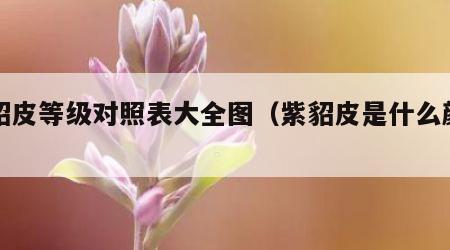 紫貂皮等级对照表大全图（紫貂皮是什么颜色）