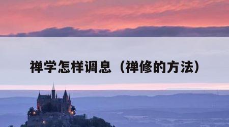 禅学怎样调息（禅修的方法）